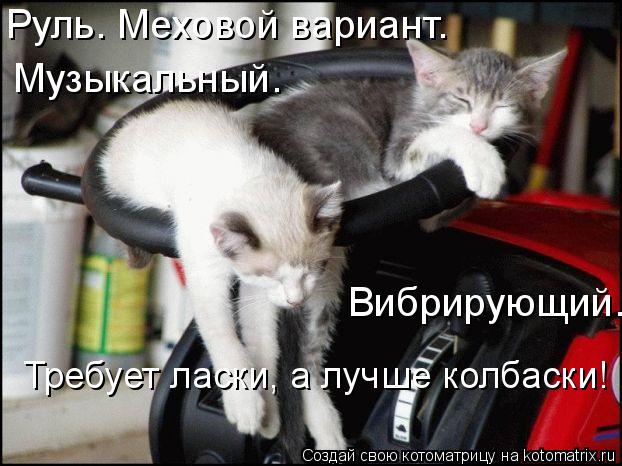 Котоматрица: Руль. Меховой вариант. Музыкальный. Вибрирующий. Требует ласки, а лучше колбаски!