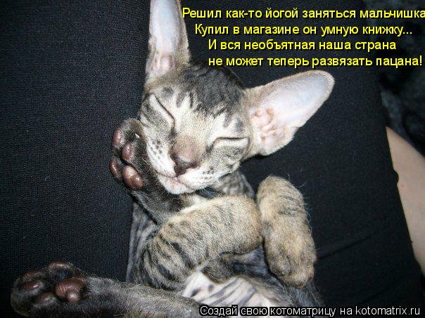 Котоматрица: Решил как-то йогой заняться мальчишка Купил в магазине он умную книжку... И вся необъятная наша страна не может теперь развязать пацана!