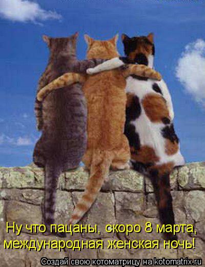 Котоматрица: Ну что пацаны, скоро 8 марта, международная женская ночь!