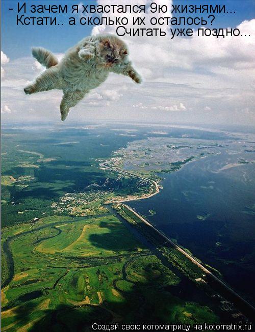Котоматрица: - И зачем я хвастался 9ю жизнями... Кстати.. а сколько их осталось? Считать уже поздно...
