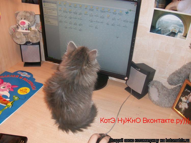 Котоматрица: КотЭ НуЖнО Вконтакте.ру)))