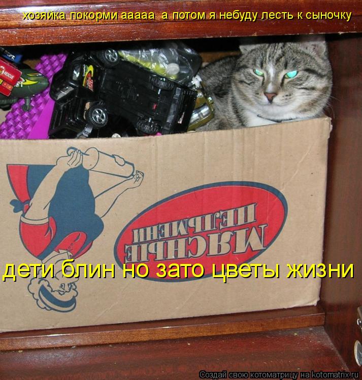 Котоматрица: дети блин но зато цветы жизни хозяйка покорми ааааа  а потом я небуду лесть к сыночку
