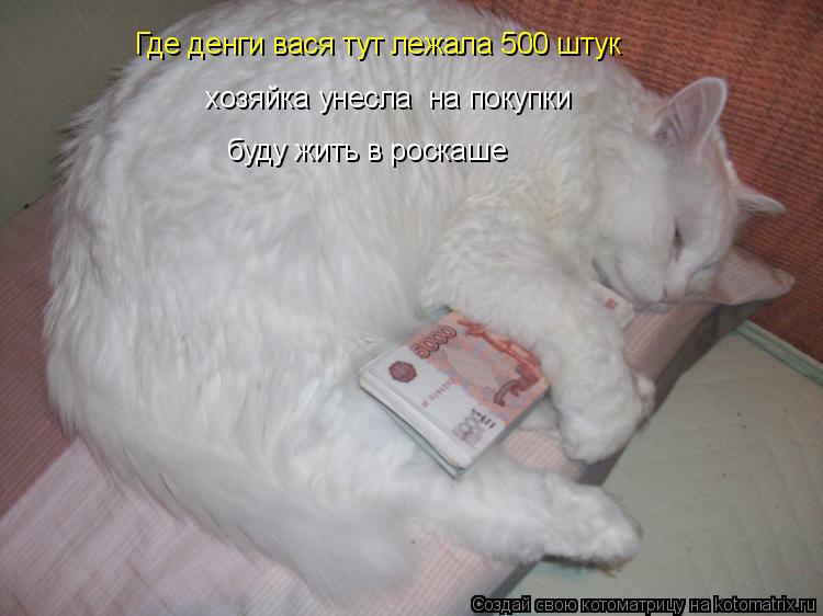 Котоматрица: Где денги вася тут лежала 500 штук хозяйка унесла  на покупки   буду жить в роскаше