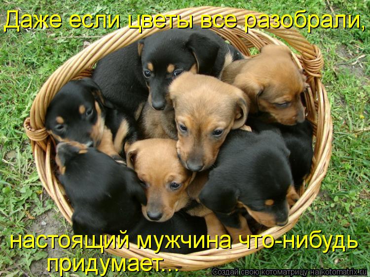 Котоматрица: Даже если цветы все разобрали, настоящий мужчина что-нибудь придумает...