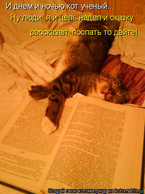 Котоматрица: И днем и ночью кот ученый... Ну люди, я и цепь надел и сказку рассказал, поспать то дайте!