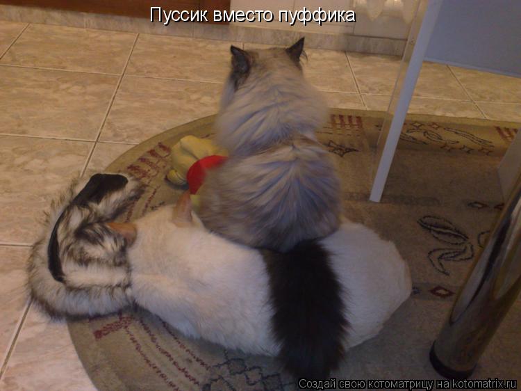 Котоматрица: Пуссик вместо пуффика