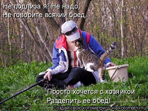 Котоматрица: Не подлиза я! Не надо, Не говорите всякий бред, Просто хочется с хозяйкой  Разделить ее обед!
