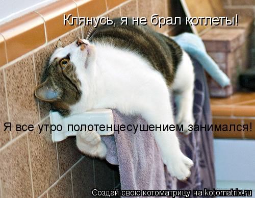 Котоматрица: Клянусь, я не брал котлеты! Я все утро полотенцесушением занимался!