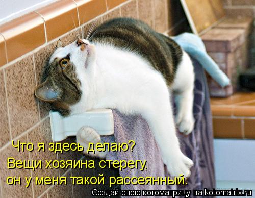 Котоматрица: Что я здесь делаю? Вещи хозяина стерегу,  он у меня такой рассеянный.