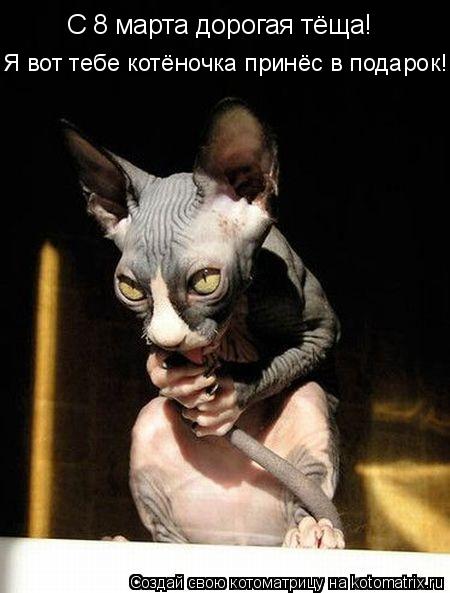 С 8 марта дорогая тёща! Я вот тебе котёночка принёс в подарок!... Котоматрица: С 8 марта дорогая тёща! Я вот тебе котёночка принёс в подарок!