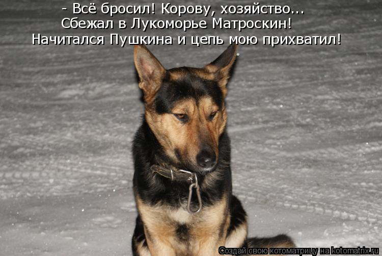 - Всё бросил! Корову, хозяйство... Сбежал в Лукоморье Матроскин! Начитался Пушкина и цепь мою прихват... Котоматрица: - Всё бросил! Корову, хозяйство... Сбежал в Лукоморье Матроскин! Начитался Пушкина и цепь мою прихватил!