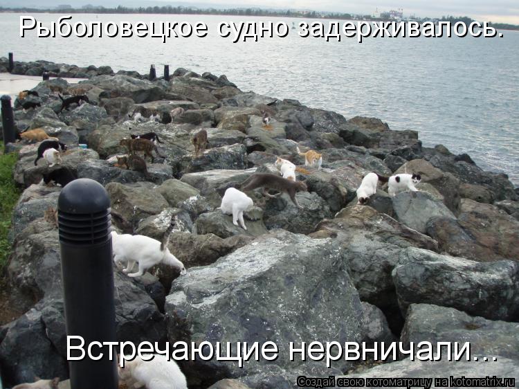Котоматрица: Рыболовецкое судно задерживалось. Встречающие нервничали...