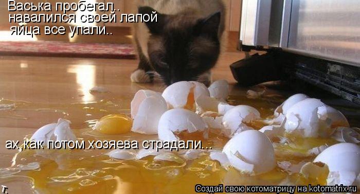 Котоматрица: Васька пробегал.. навалился своей лапой яйца все упали.. ах,как потом хозяева страдали...