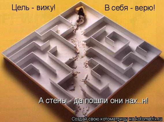 Цель - вижу! В себя - верю! А стены - да пошли они нах..н!... Котоматрица: Цель - вижу! В себя - верю! А стены - да пошли они нах..н!
