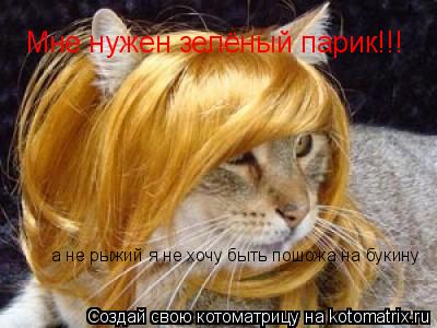 Котоматрица: Мне нужен зелёный парик!!! а не рыжий я не хочу быть пошожа на букину