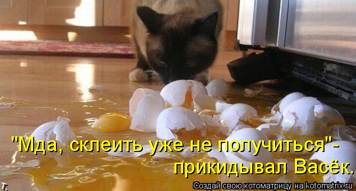 Котоматрица: прикидывал Васёк. "Мда, склеить уже не получиться"-