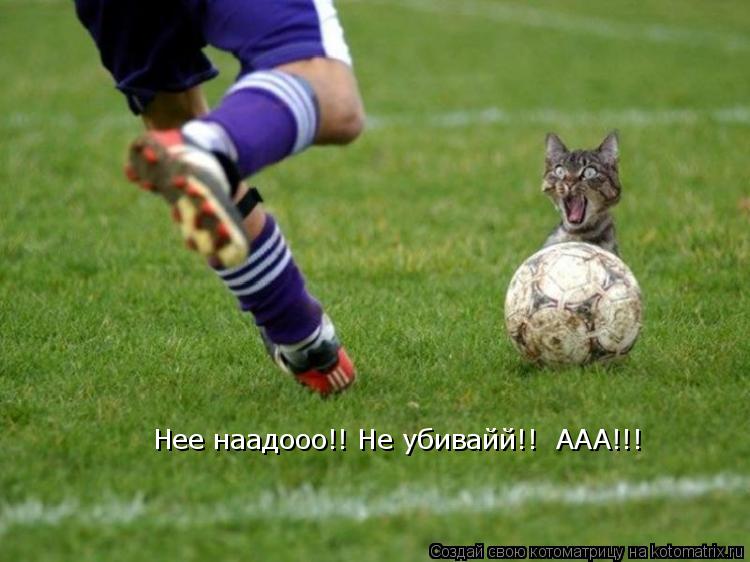 Котоматрица: Нее наадооо!! Не убивайй!!  ААА!!!