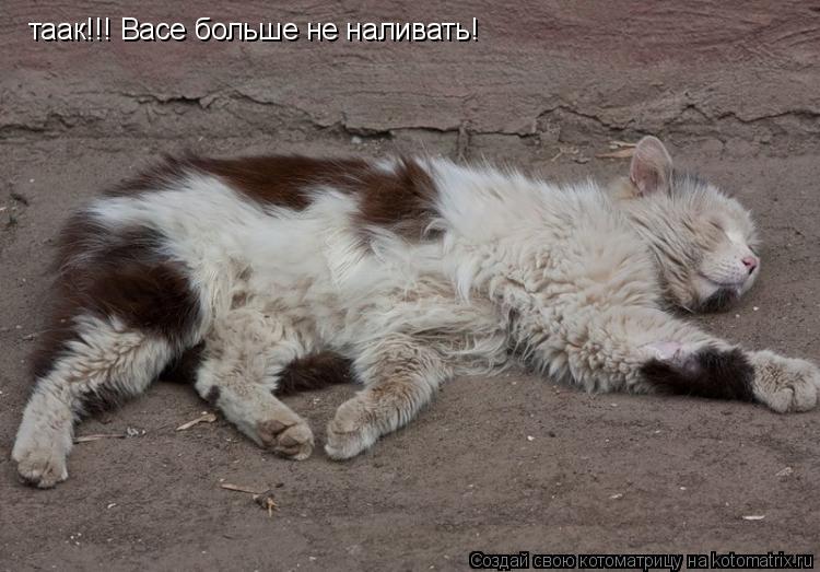 Котоматрица: таак!!! Васе больше не наливать!
