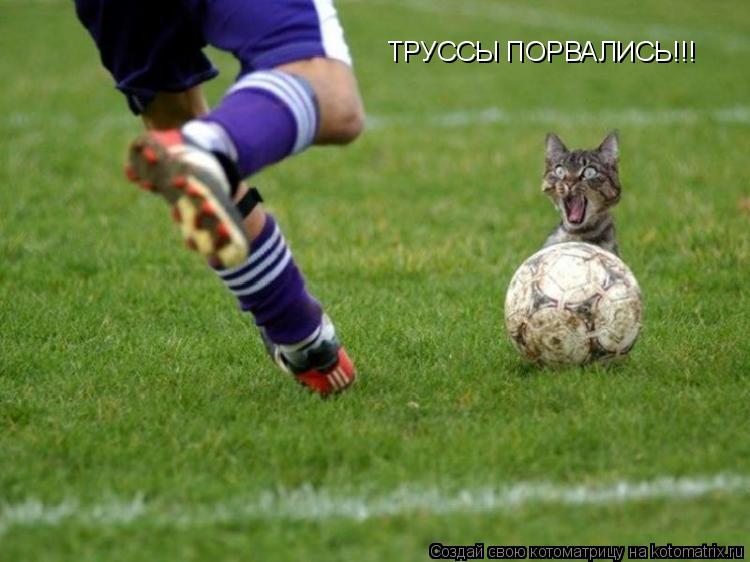 Котоматрица: ТРУССЫ ПОРВАЛИСЬ!!!