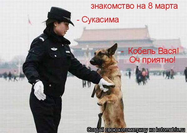 Котоматрица: знакомство на 8 марта - Сукасима -  Кобель Вася! Оч приятно!