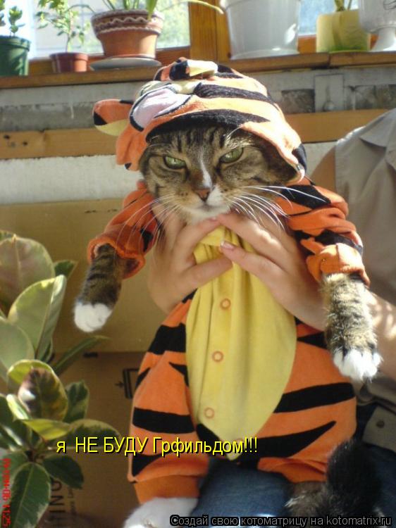 Котоматрица: я  НЕ БУДУ Грфильдом!!!