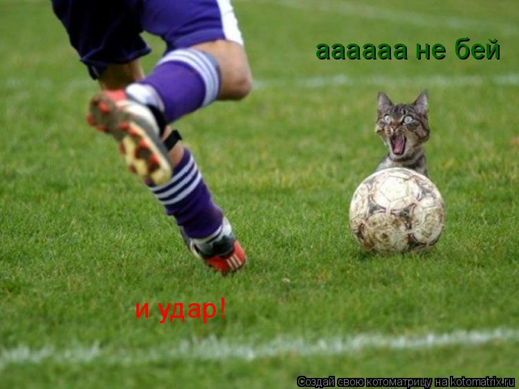 Котоматрица: и удар! аааааа не бей