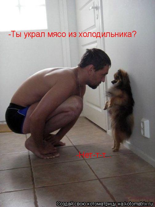 Котоматрица: -Ты украл мясо из холодильника? -Нет-т-т...