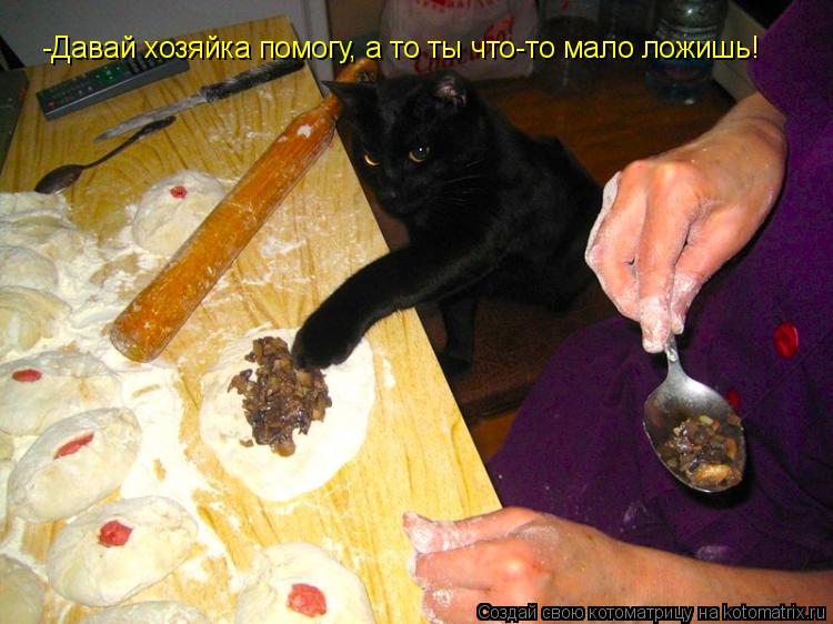 Котоматрица: -Давай хозяйка помогу, а то ты что-то мало ложишь!