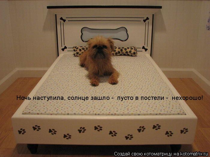 Котоматрица: Ночь наступила, солнце зашло -  пусто в постели -  нехорошо!