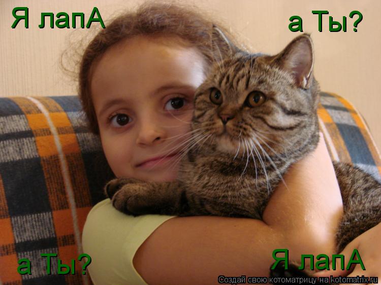 Котоматрица: Я лапА Я лапА а Ты? а Ты?
