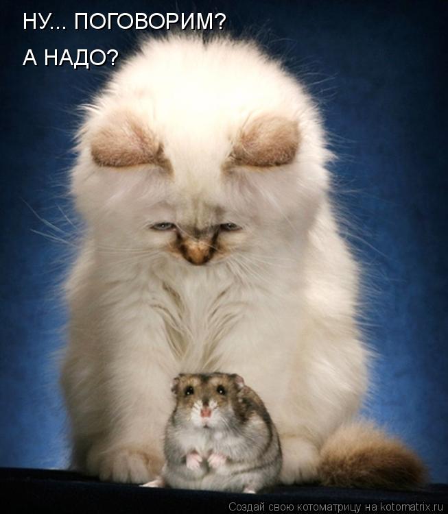 Котоматрица: НУ... ПОГОВОРИМ? А НАДО?