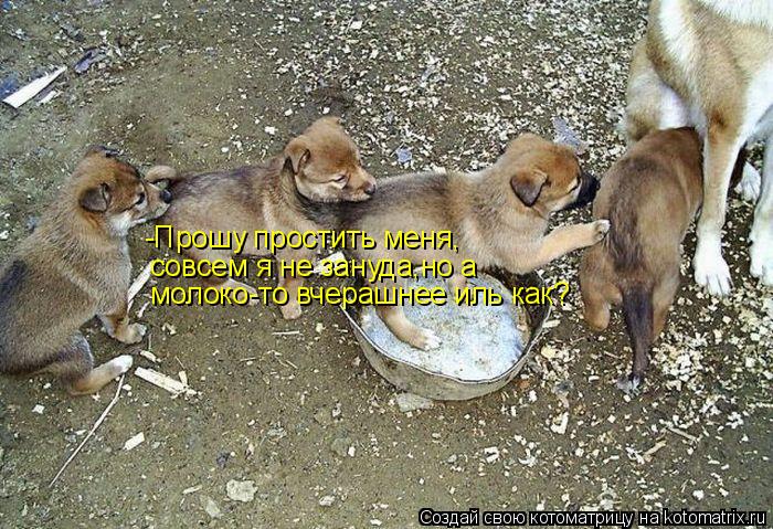 Котоматрица: -Прошу простить меня, совсем я не зануда,но а молоко-то вчерашнее иль как?