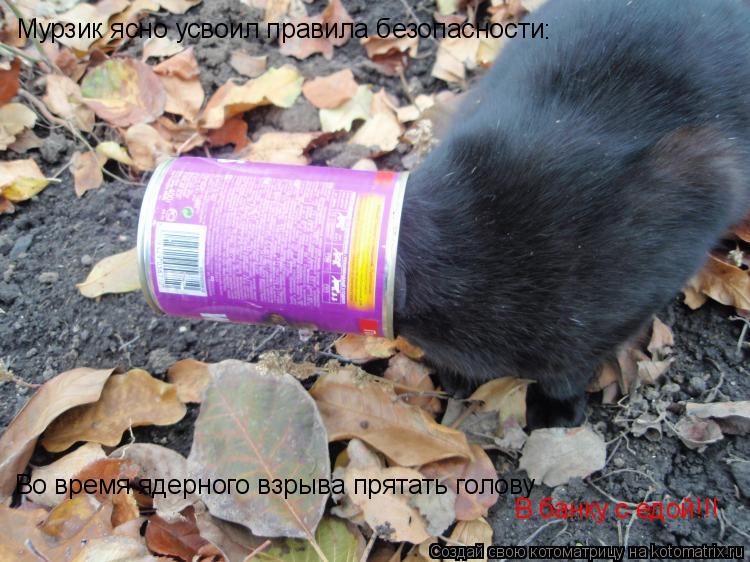 Котоматрица: Мурзик ясно усвоил правила безопасности : Во время ядерного взрыва прятать голову В банку с едой!!!