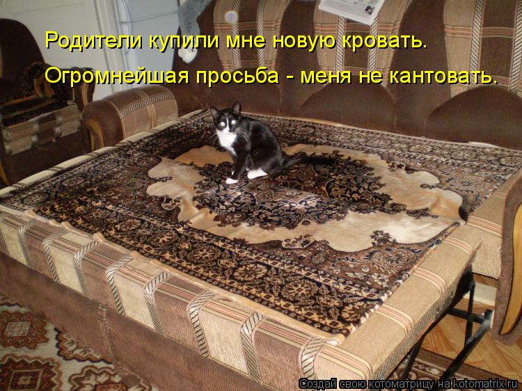 Котоматрица: Родители купили мне новую кровать. Огромнейшая просьба - меня не кантовать.