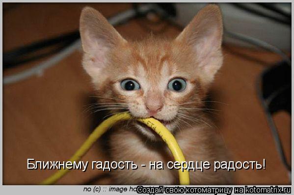 Котоматрица: Ближнему гадость - на сердце радость!