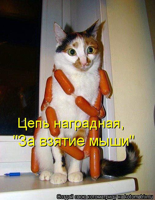 Цепь наградная, "За взятие мыши"... Котоматрица: Цепь наградная, "За взятие мыши"