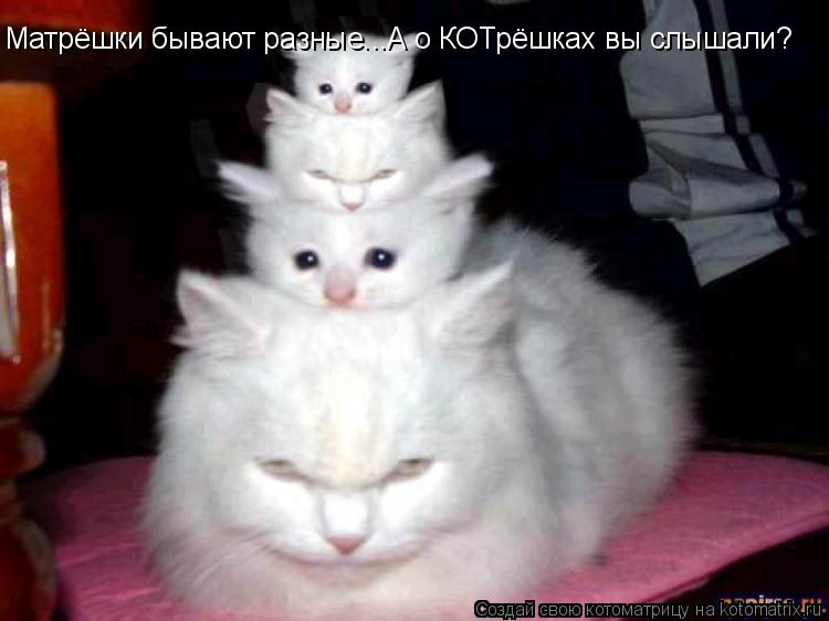 Котоматрица: Матрёшки бывают разные...А о КОТрёшках вы слышали?