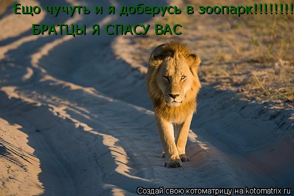 Котоматрица: Ещо чучуть и я доберусь в зоопарк!!!!!!!!!!!!! БРАТЦЫ Я СПАСУ ВАС