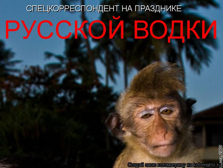 Котоматрица: СПЕЦКОРРЕСПОНДЕНТ НА ПРАЗДНИКЕ РУССКОЙ ВОДКИ
