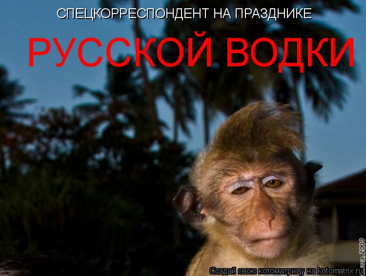 Котоматрица: СПЕЦКОРРЕСПОНДЕНТ НА ПРАЗДНИКЕ РУССКОЙ ВОДКИ