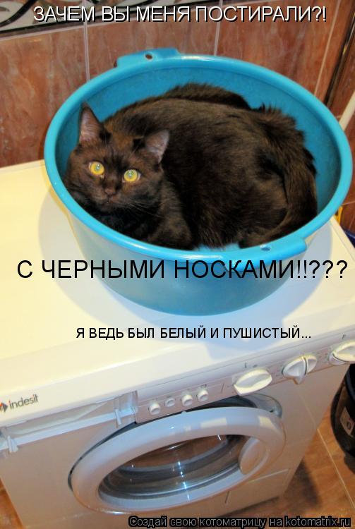 Котоматрица: ЗАЧЕМ ВЫ МЕНЯ ПОСТИРАЛИ?! С ЧЕРНЫМИ НОСКАМИ!!??? Я ВЕДЬ БЫЛ БЕЛЫЙ И ПУШИСТЫЙ...