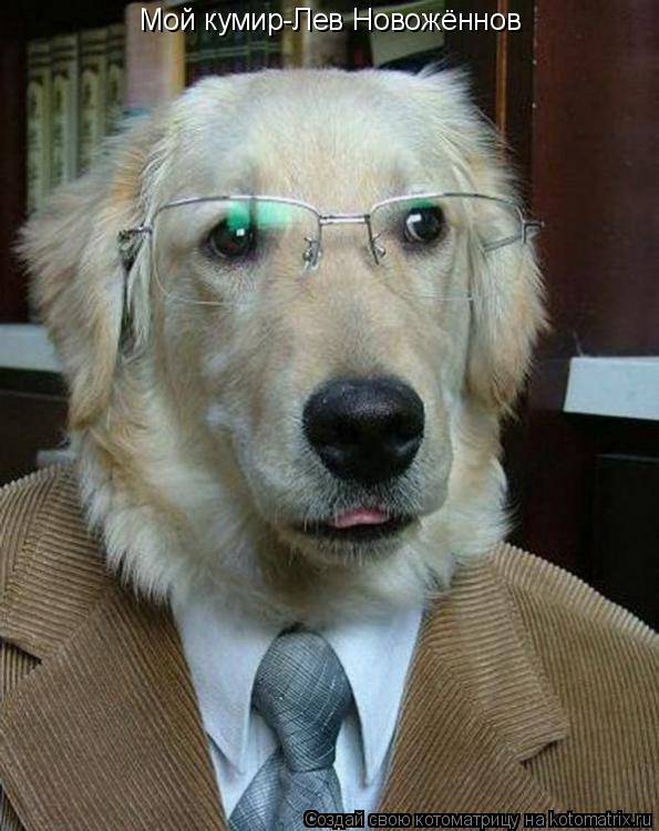 Котоматрица: Мой кумир-Лев Новожённов