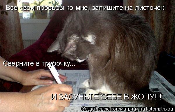 Котоматрица: Все свои просьбы ко мне, запишите на листочек!  Сверните в трубочку... И ЗАСУНЬТЕ СЕБЕ В ЖОПУ!!!