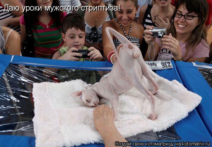 Котоматрица: Даю уроки мужского стриптиза!