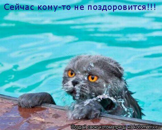 Котоматрица: Сейчас кому-то не поздоровится!!!