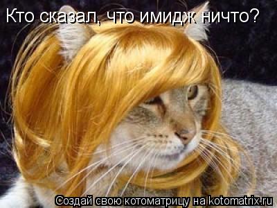 Котоматрица: Кто сказал, что имидж ничто?