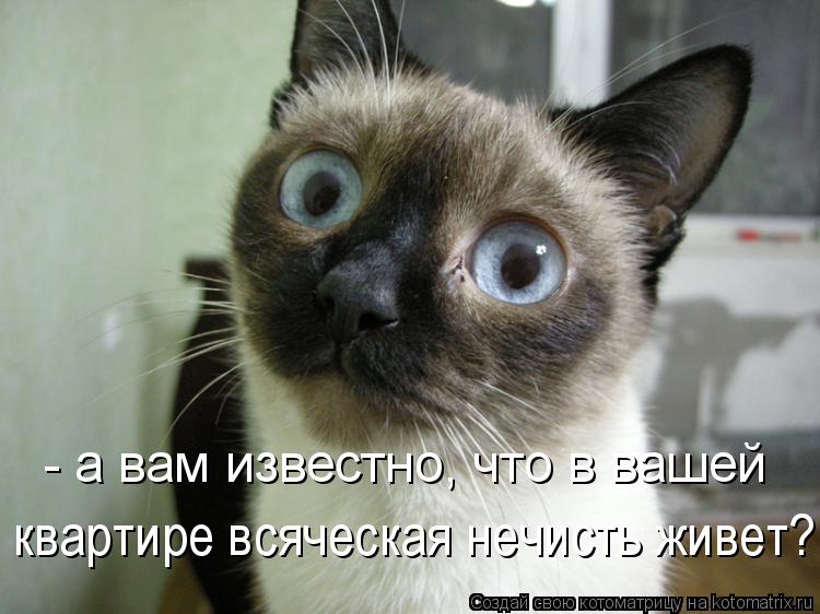 Котоматрица: - а вам известно, что в вашей  квартире всяческая нечисть живет?