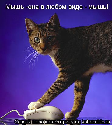 Котоматрица: Мышь -она в любом виде - мышь!