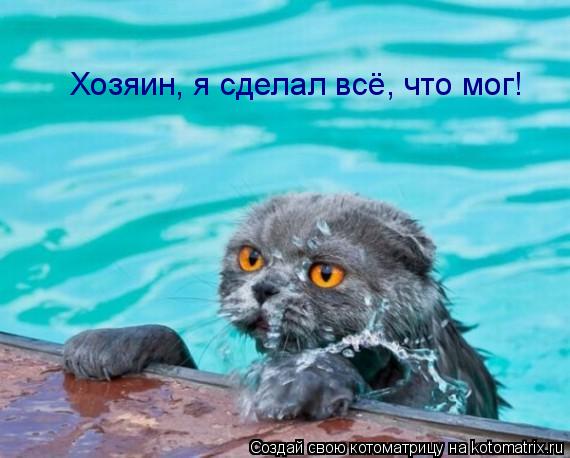 Котоматрица: Хозяин, я сделал всё, что мог!