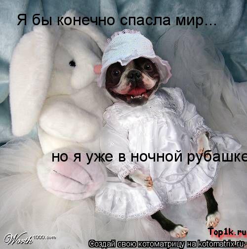 Котоматрица: Я бы конечно спасла мир... но я уже в ночной рубашке